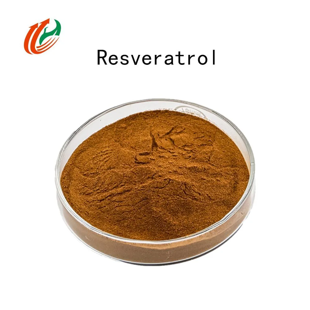 Pure Natural Resveratrol Extract Powder Plant Extracts