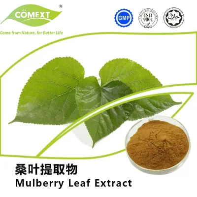 Comext Herbal Natural Mulberry Leaf Extract 1%1-Deoxynojirimycin (1-DNJ) Poudre