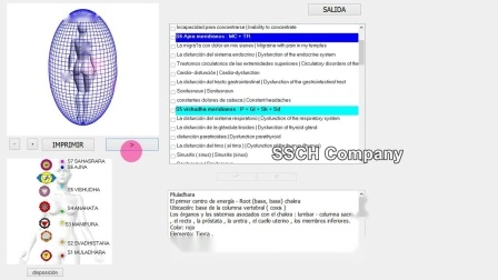 Appareil de diagnostic de santé Aura Chakra Tester 8d Nls